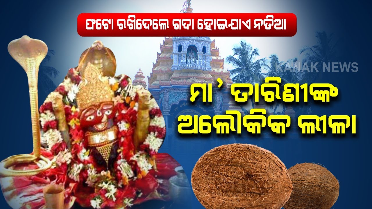 Know The Importance Of Ghatagaon 'Maa Tarini' And Relation With Coconut | Kanak News