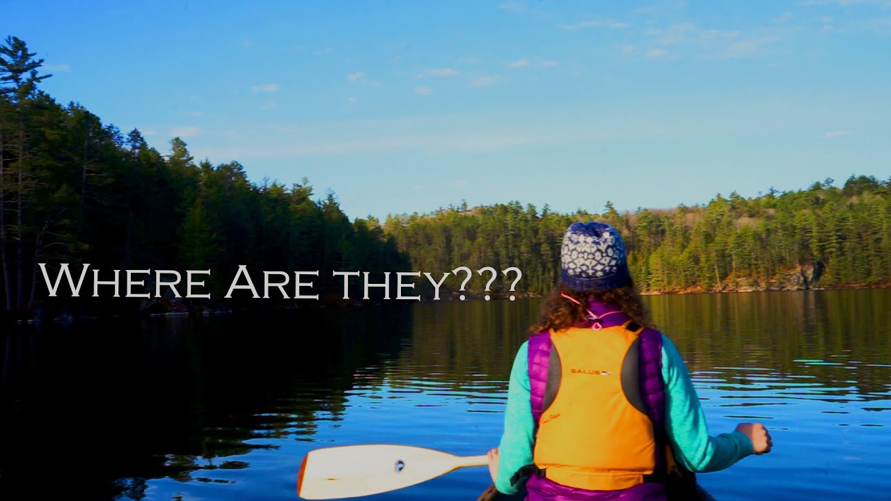 Social Distancing Episode 2| Paddling and the Pursuit of TROUT!