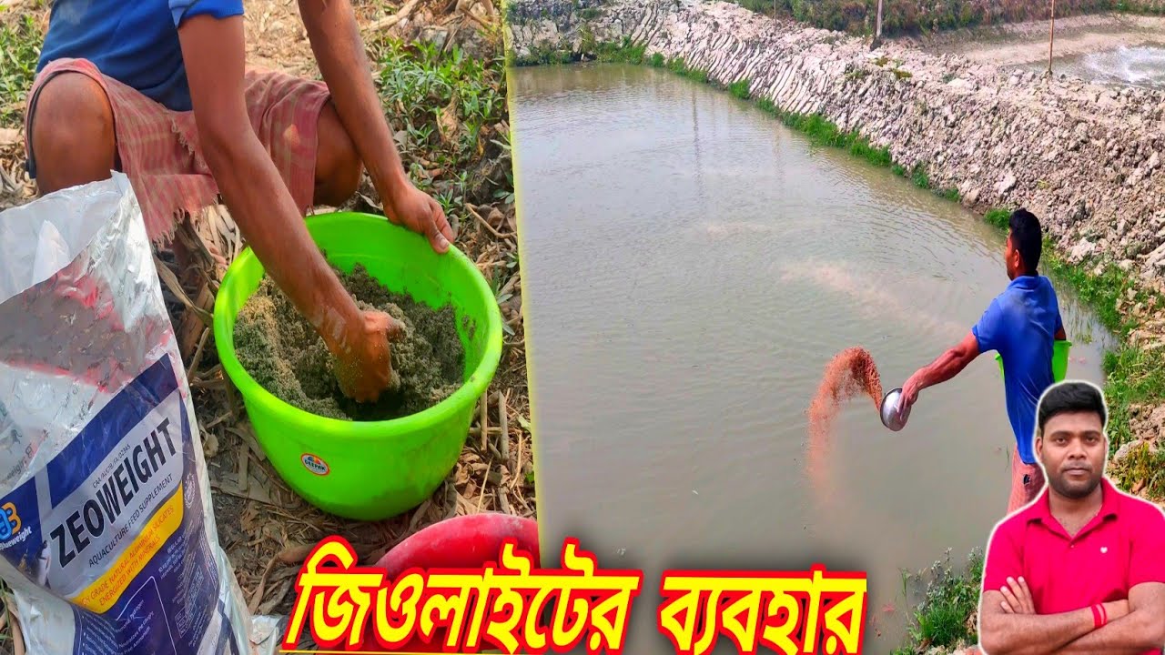 কেন পুকুরে জিওলাইট ব্যবহার করবেন? Why use zeolite in ponds জিওলাইট এর কাজ কি?