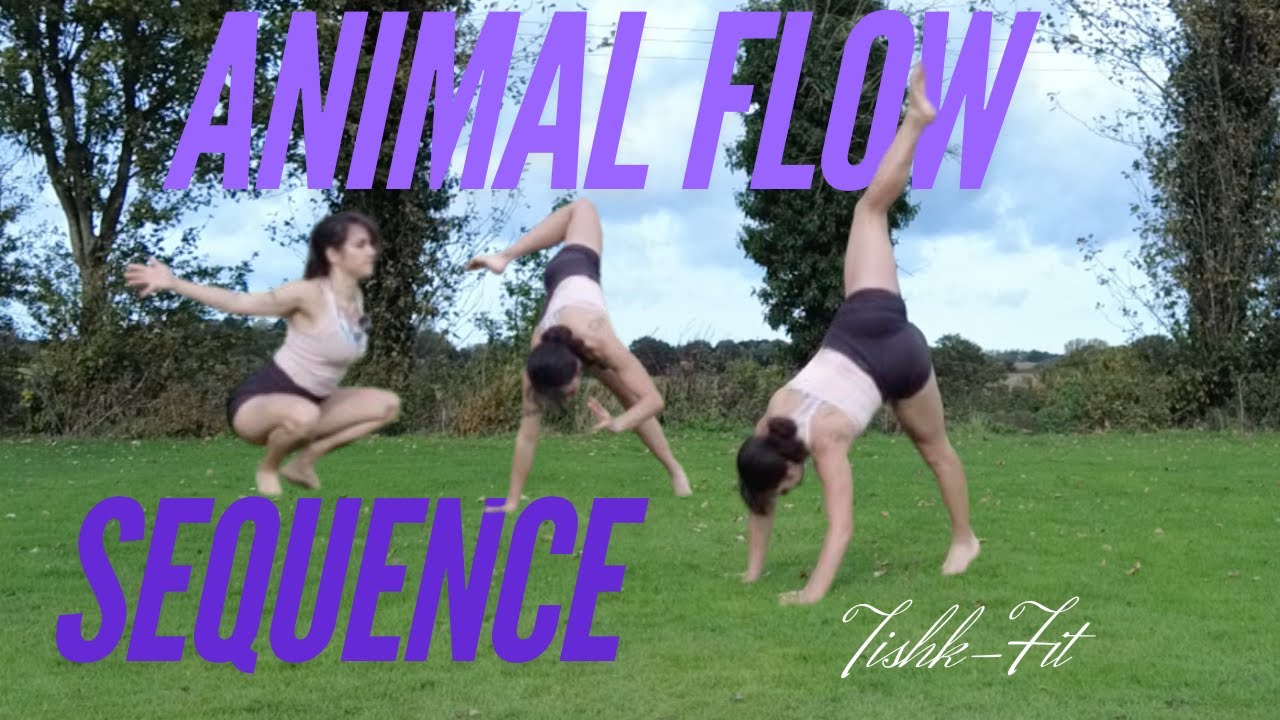 Animal Flow Workout