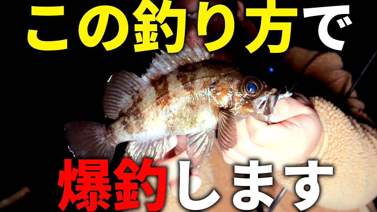 【図解で解説】今が熱い！面白いほど良型メバルが爆釣する釣り方を教えます。
