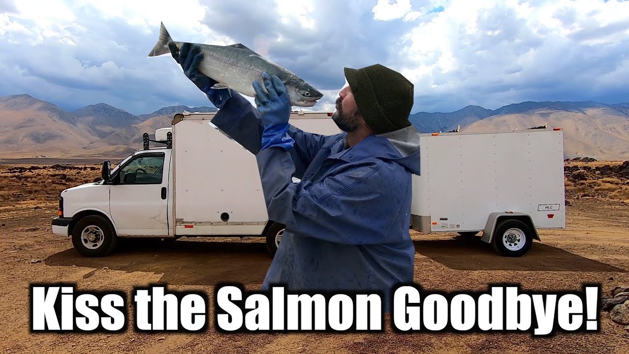 Kiss the Salmon Goodbye - Back to VanLife
