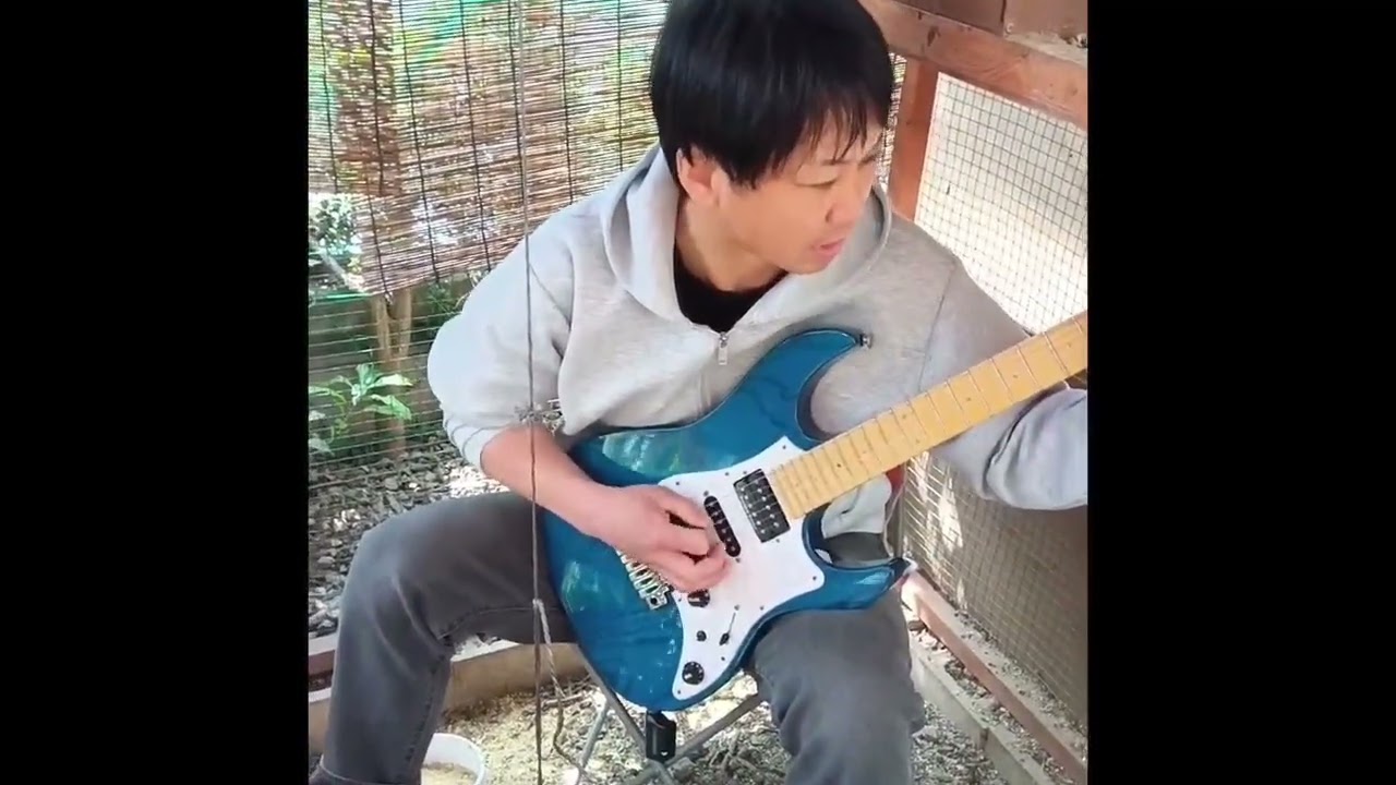 ニワトリ小屋で紅！