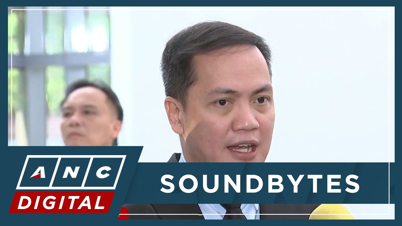 Ligutan: VP Sara is definitely the one lying, not Madriaga | ANC