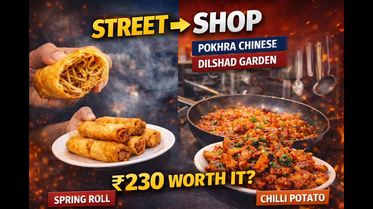 Street Vendor to Shop 😍 | Pokhra Chinese Dilshad Garden | Spring Roll & Chilli Potato Review