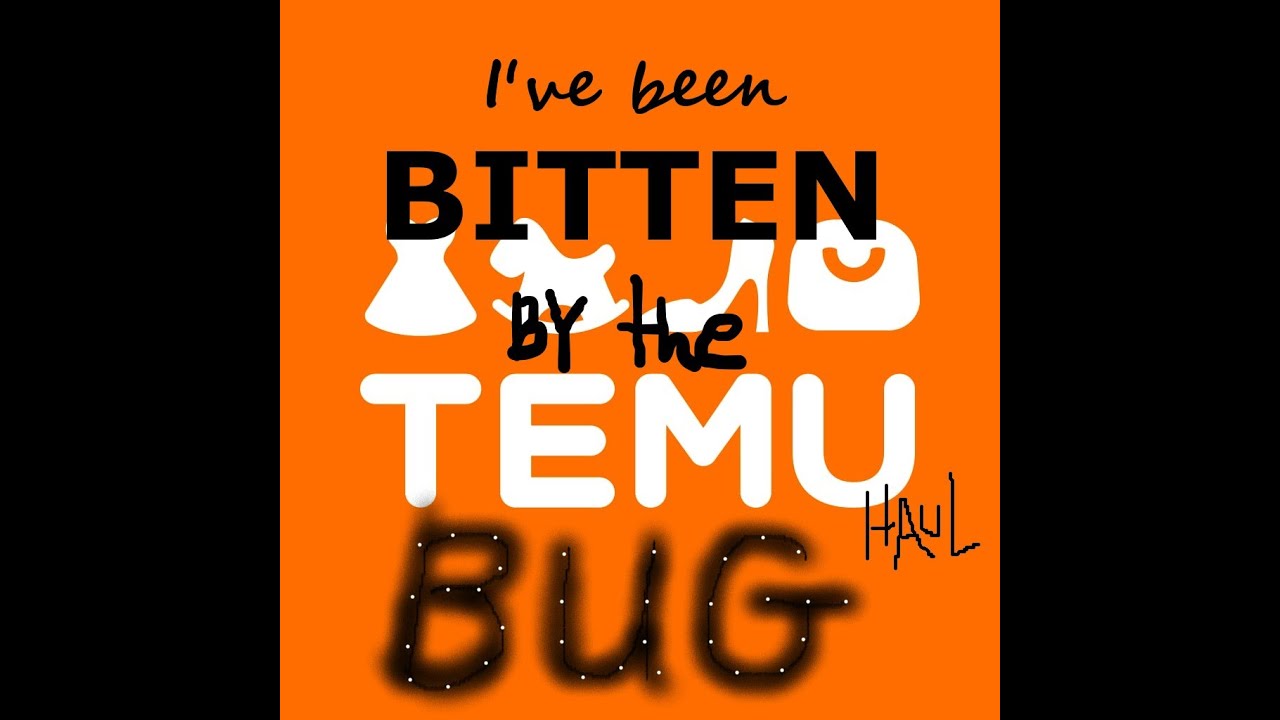 YES Ive been BITTEN by the TEMU BUG- Haul