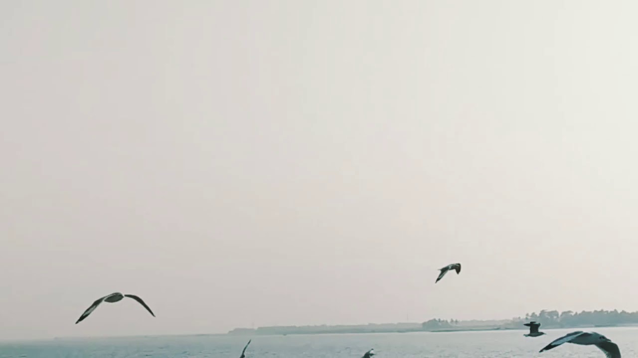 Naf River Traveling |Naf River Bangladesh-Mayanmar
