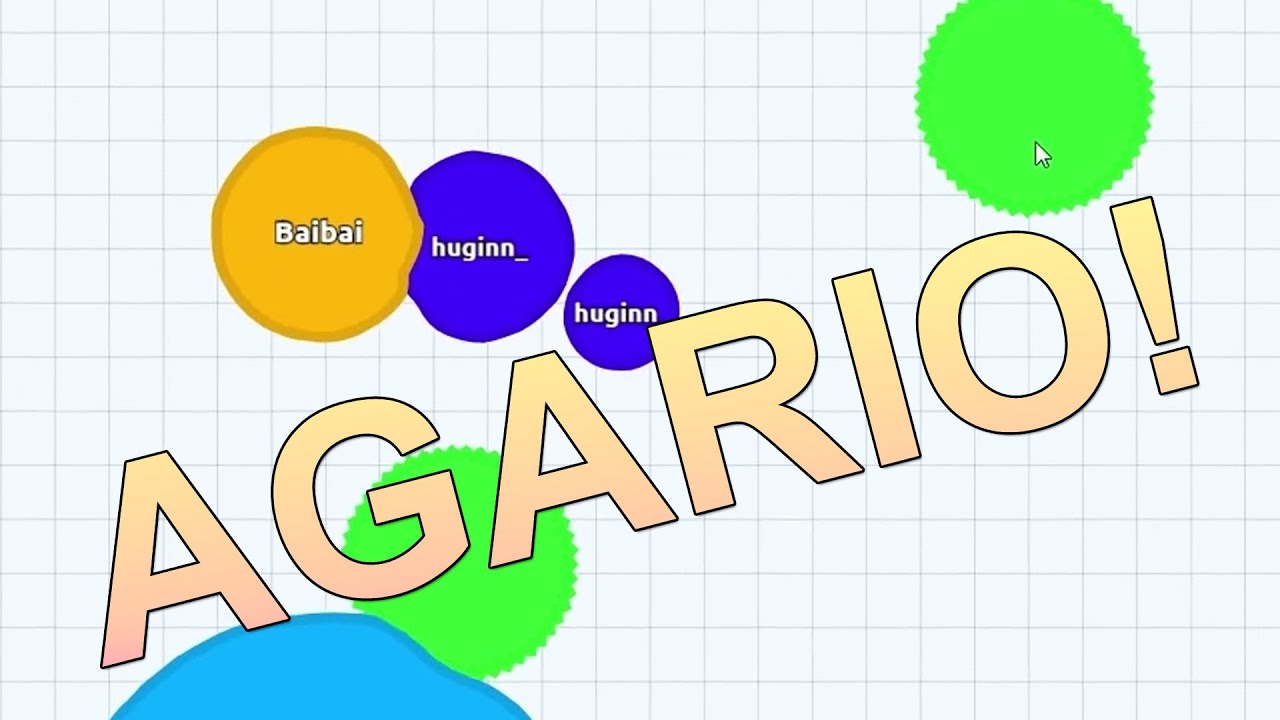AGARIO MED BAIBAI, HUGINN OG EN FANTASTISK SEER!