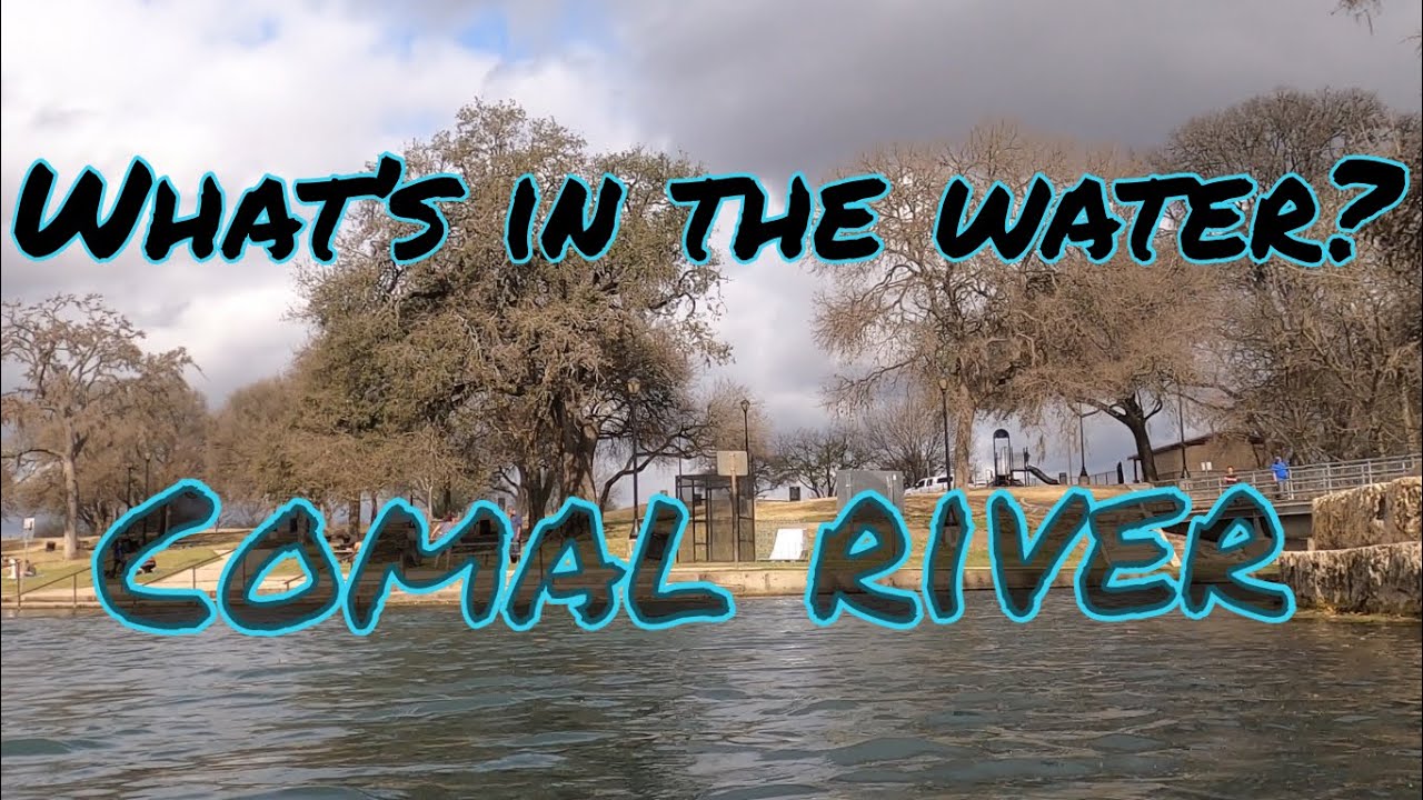 What&rsquo;s in the water? Comal River