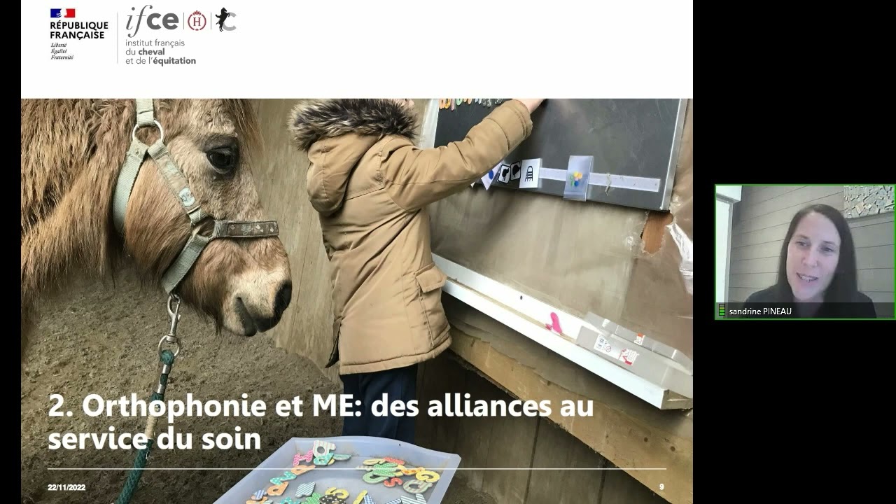 Orthophonie et médiation alliance eu service du soin - Sandrine Borie-Pineau