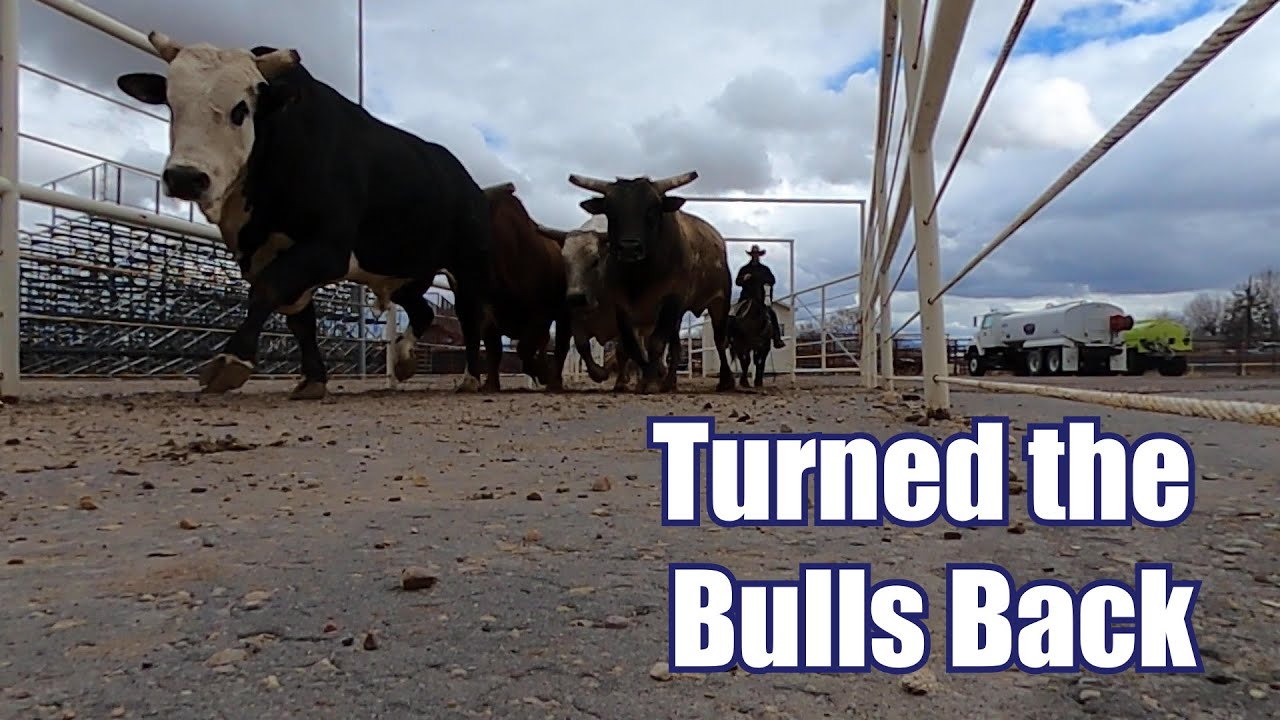 TURNED THE BULLS BACK