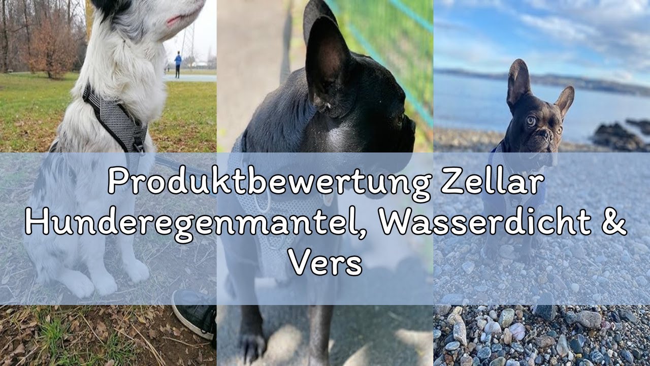 Produktbewertung Zellar Hunderegenmantel, Wasserdicht & Verstellbar - Leichte Regenjacke mit Reflekt