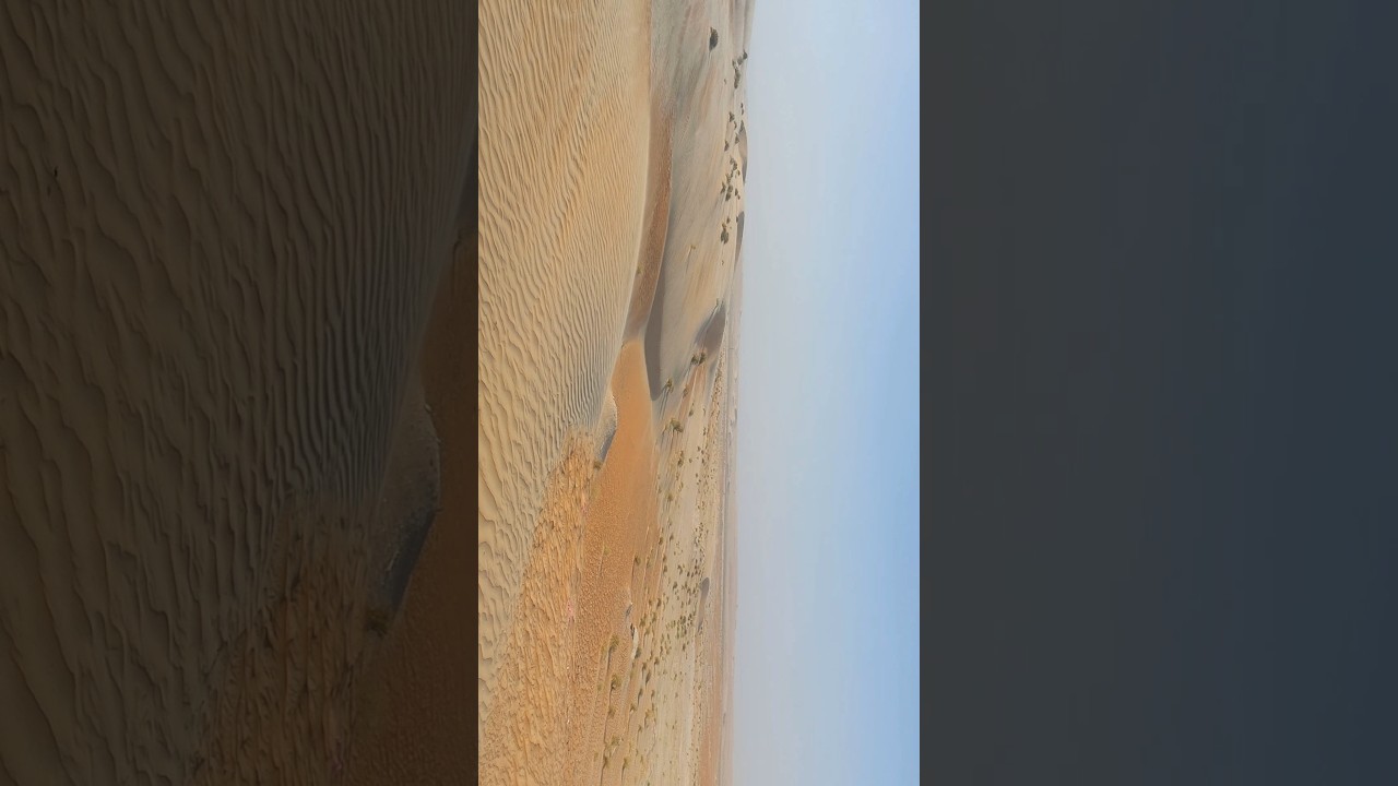 DESERT 🏜BUHASSA | HABSHAN | ABUDHABI | UAE 🇦🇪