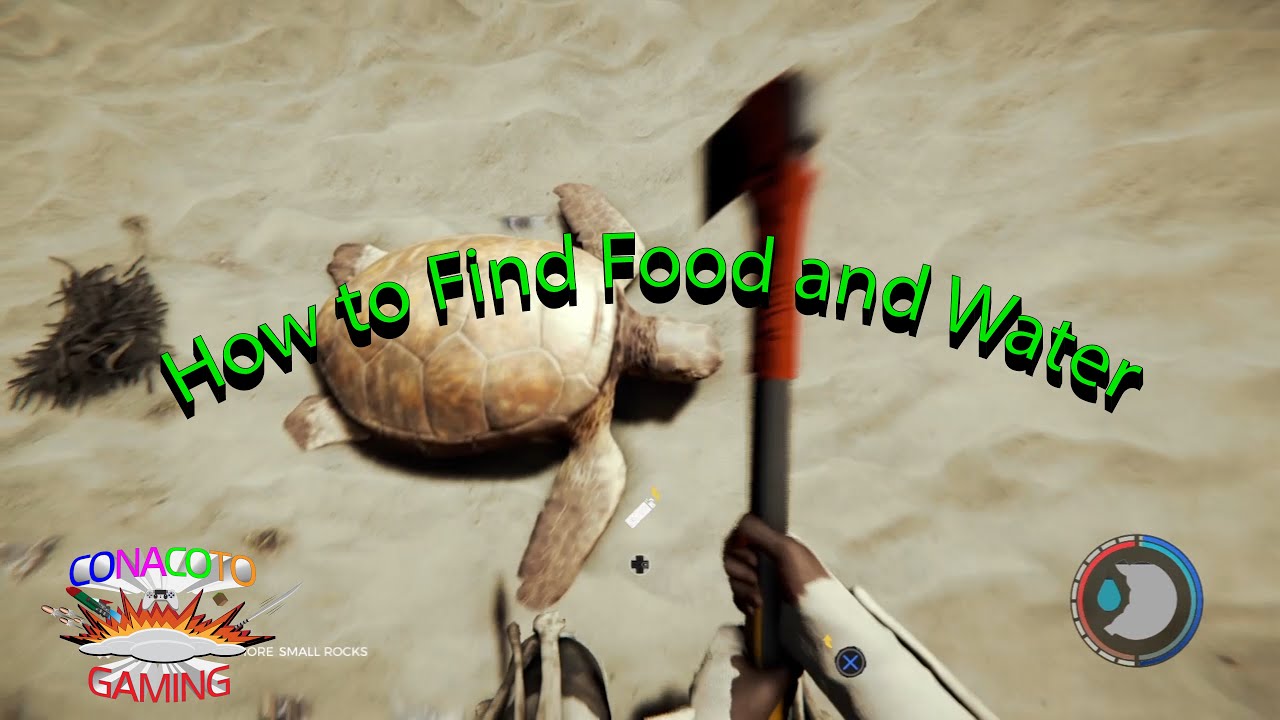 The Forest Tutorial 4: How to Find Food and Water