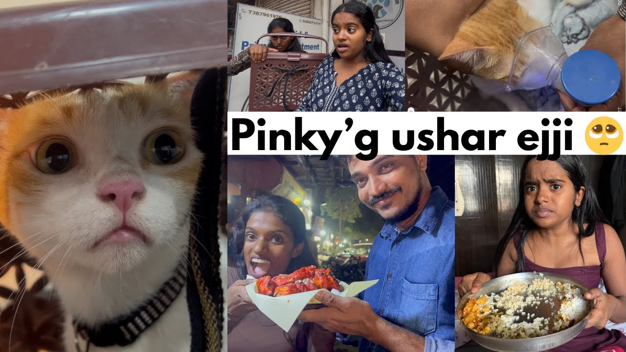 What I Did All Day 🙂 Daily Vlog | @Rakshita_Talks  #tulu #tulunad #udupi #mangalore #karnataka