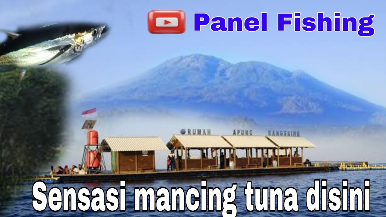 perjalanan nelayan gorontalo untuk mendapatkan tuna sirip kuning di laut papua