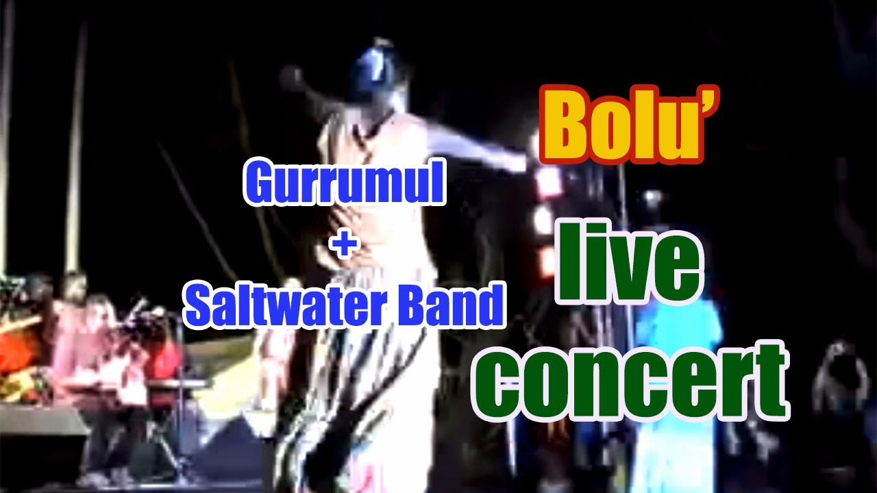 Gurrumul & Saltwater Band | Bolu' (bamboo) | 2007 Telstra Art Award
