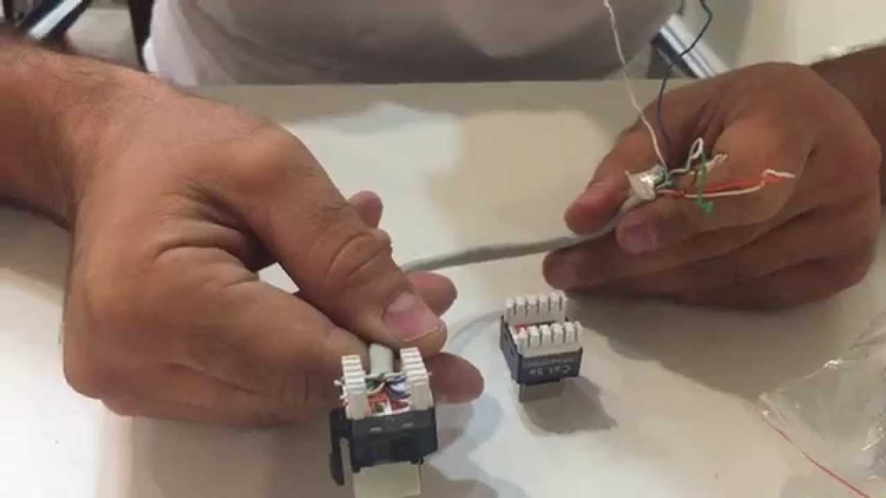 איך בונים תקע רשת קאט  5  CAT התקנת רשת כל המידע הדרוש