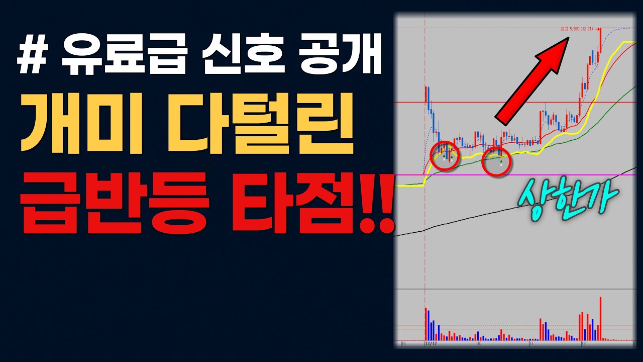 🔥유료급 엔벨로프 신호 공개합니다 개미털린 차트에서 ‘진짜 반등 버튼’