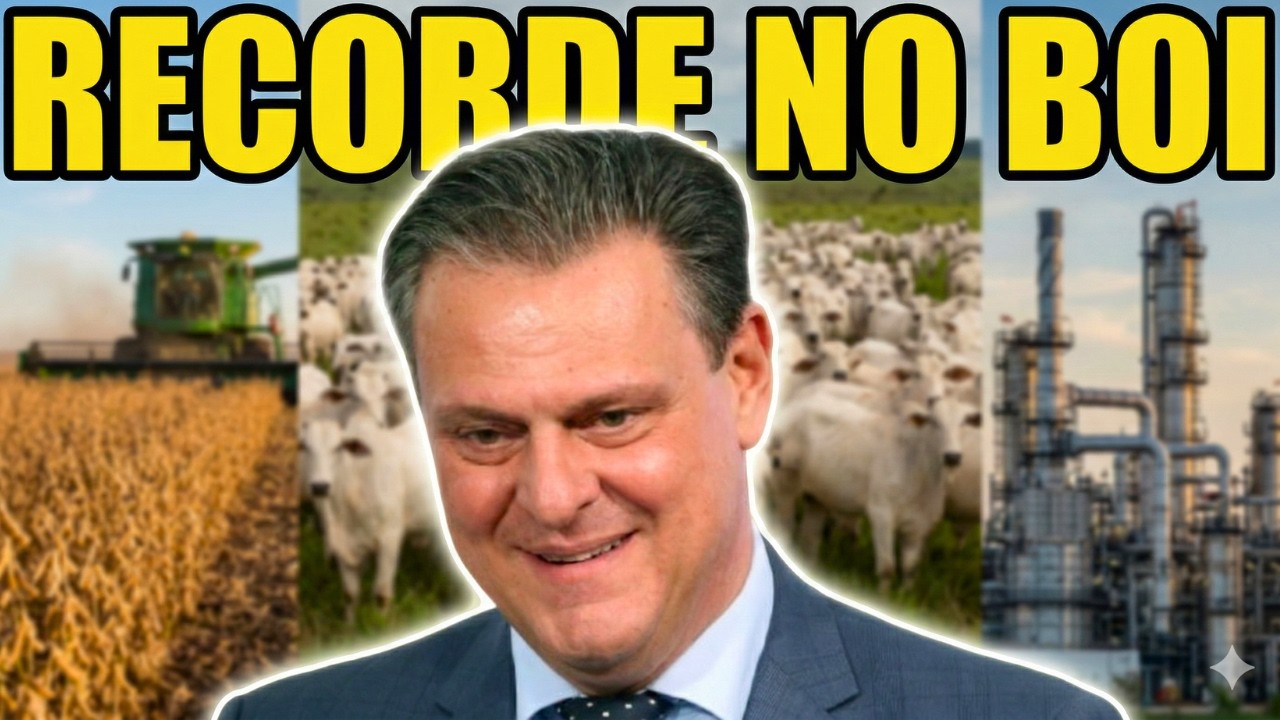 BOI GORDO: Arroba Salta Para R$353, Nova Lei e Alerta em 17 Estados Sacodem Mercado! O Que Esperar?