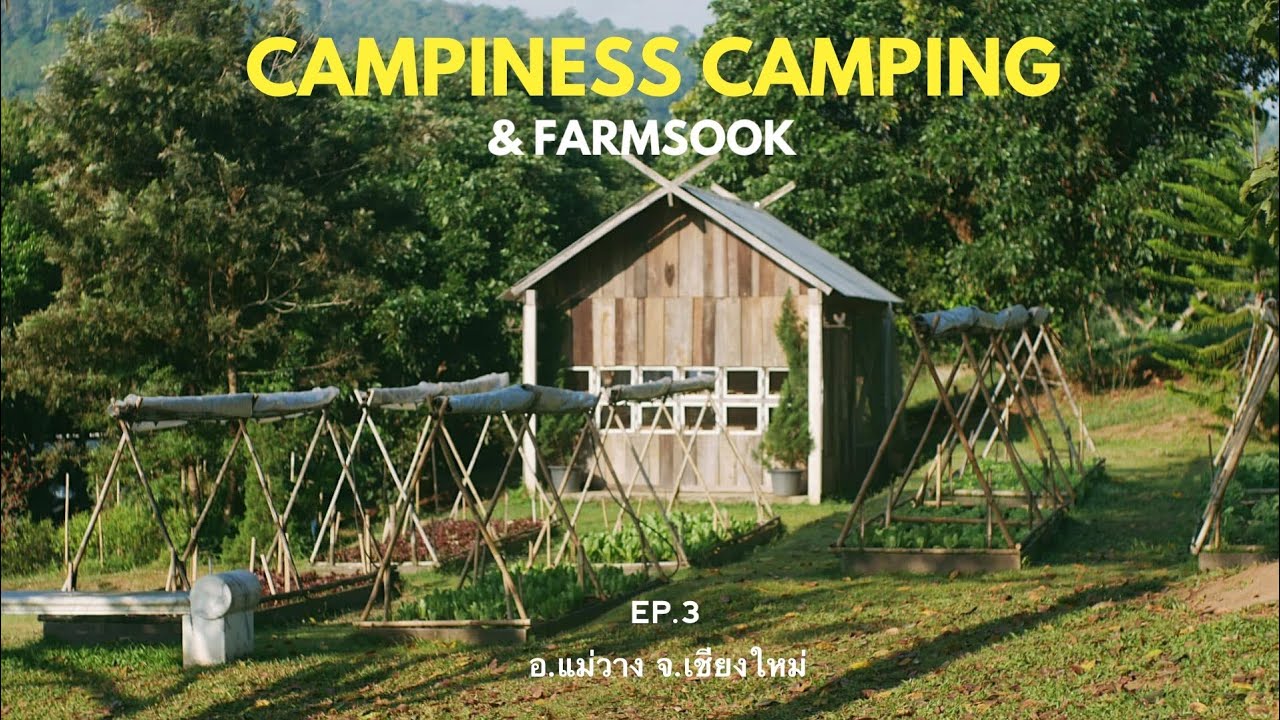 ROAD TRIP CAMPING - EP 1.3 หนาวนี้ เมื่อปีที่แล้ว Campiness Camping & Farmsook อ.แม่วาง จ.เชียงใหม่