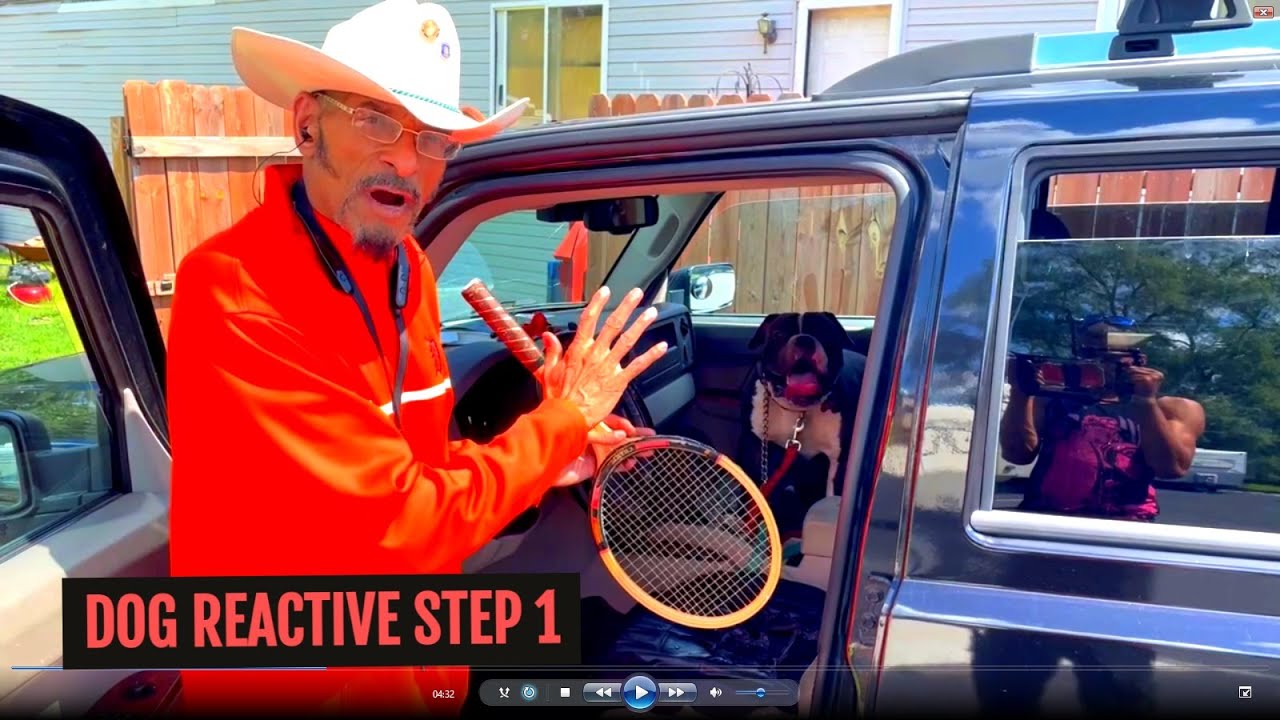 Rehabilitating Dog Reactive Pitbulls Part 1 - Dog Whisperer BIG CHUCK MCBRIDE