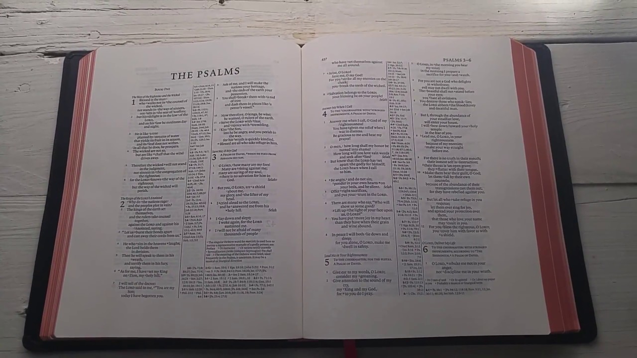Four Year Crash Test: Cambridge Wide Margin Bible 