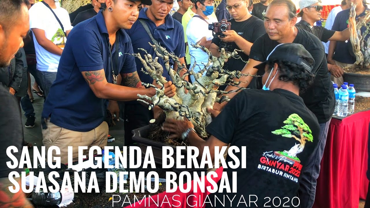 Suasana Demo Bonsai Pamnas PPBI Gianyar
