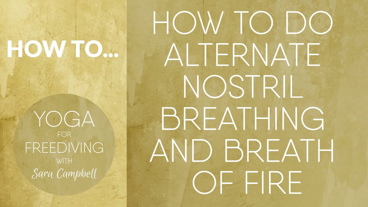 How to do Alternate Nostril Breathing and Breath of Fire : Yoga for Freediving with Sara Campbell