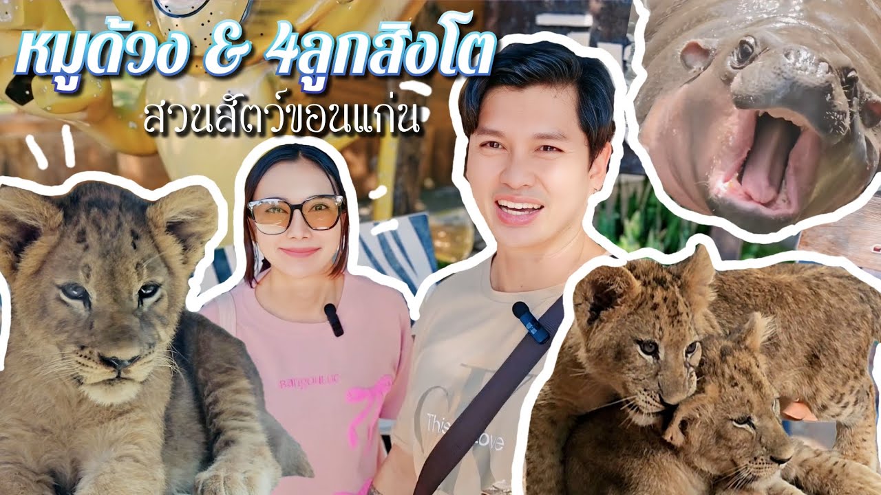 เทปพิเศษ 4ลูกสิงโต และ หมูด้วง หลาน หมูเด้ง สวนสัตว์ขอนแก่น #หมูด้วง