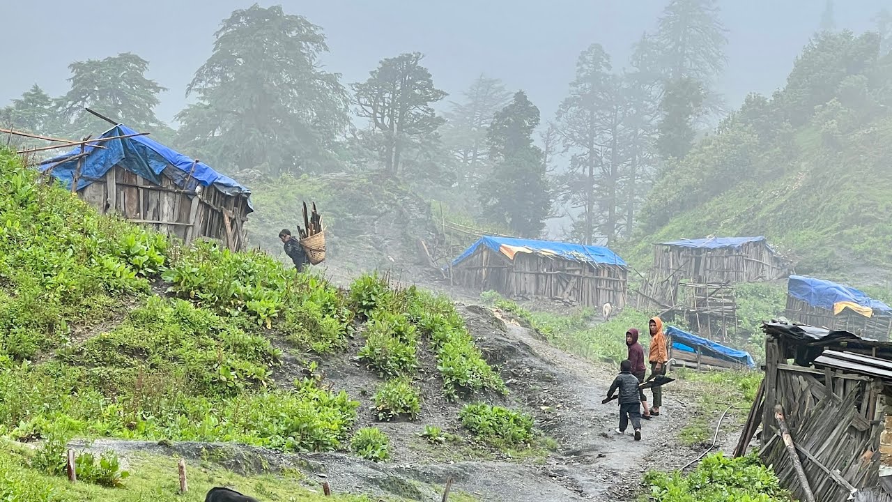 No Electricity, No Internet &ndash; Just Nature & Peace | Simple Village Life || IamSuman