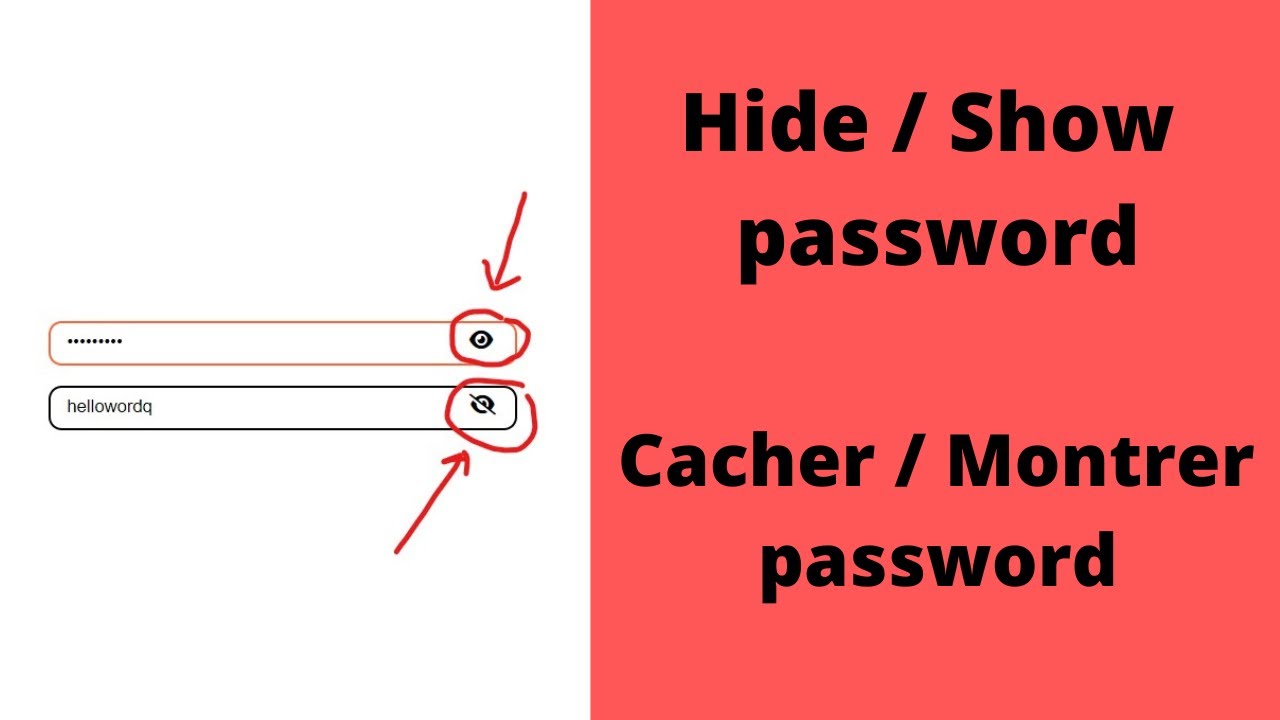 comment personnaliser le formulaire HTML CSS JAVASCRIPT cacher ou voir mot de passe