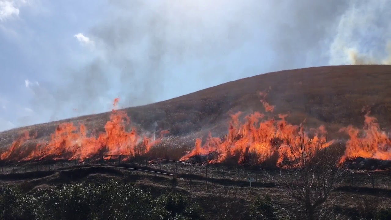 2020大室山山焼き。2020.2.24(月)