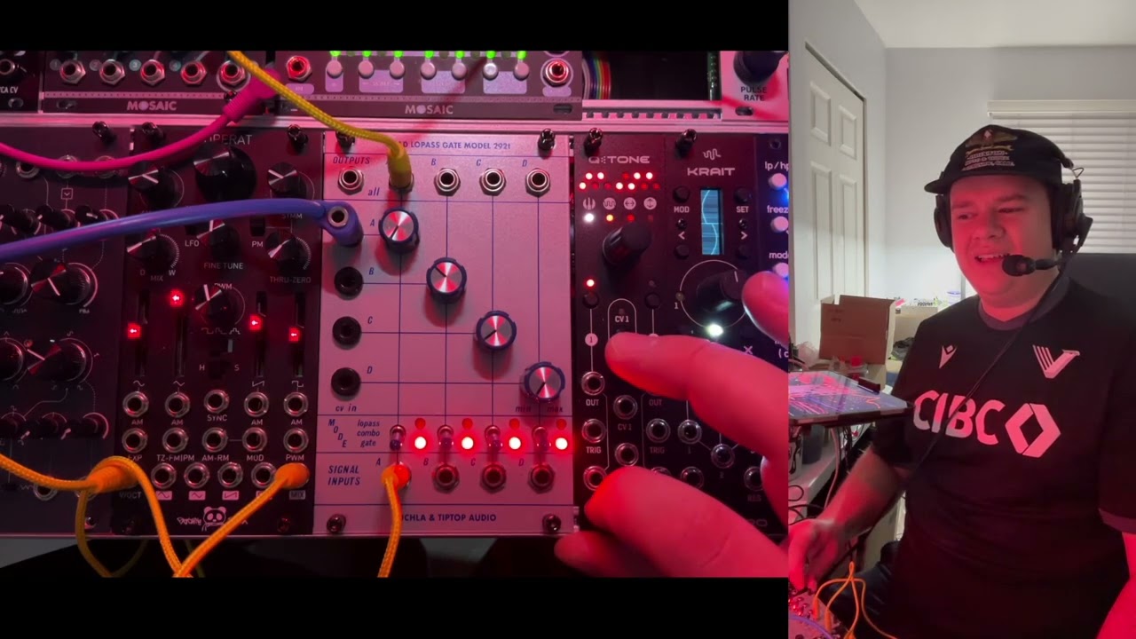 Rambling About: Buchla & Tiptop Audio 292T Quad Lopass Gate