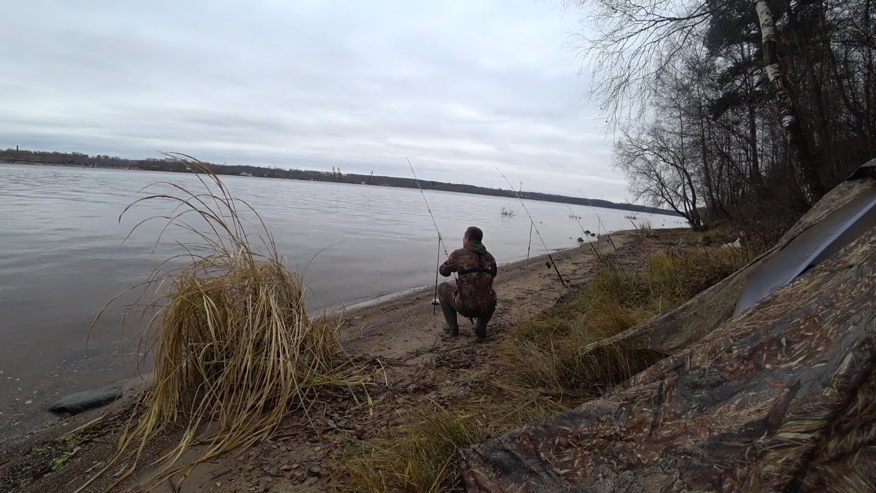 Рыбалка на ДОНКИ с берега на судака, налима в ноябре.