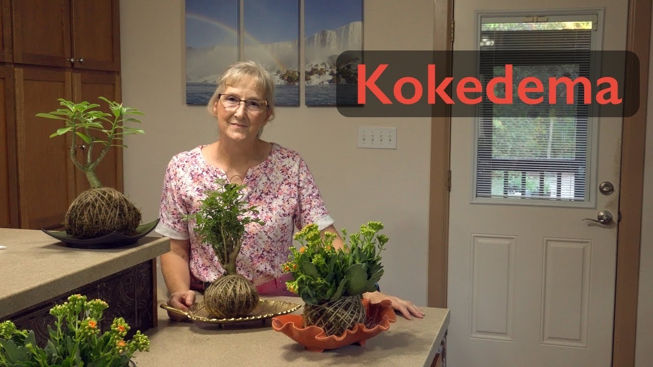 The Art of Kokedama