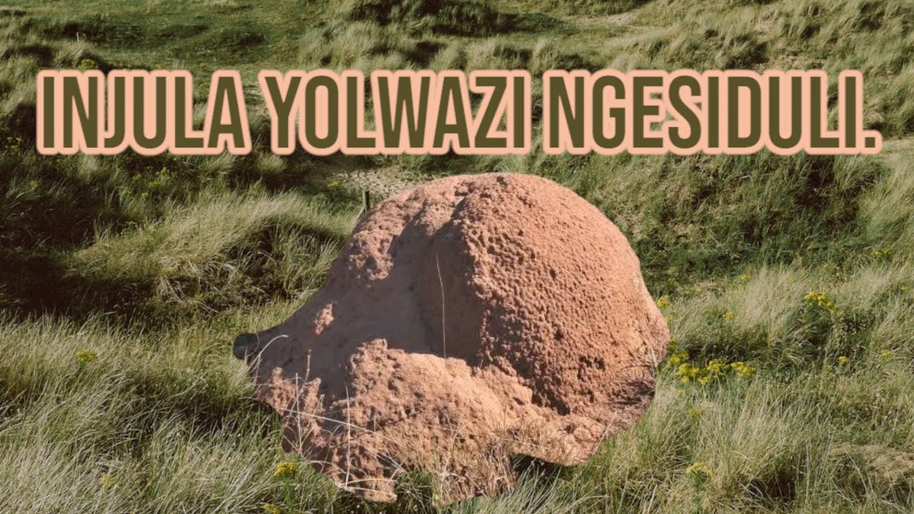 ISIDULI NEMISEBENZI YASO
