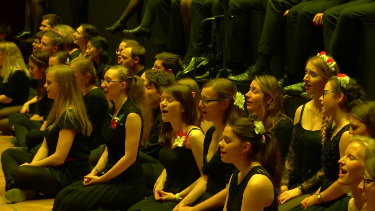 Kleiner grauer Falter (Maybebop) - Psycho-Chor der Uni Jena