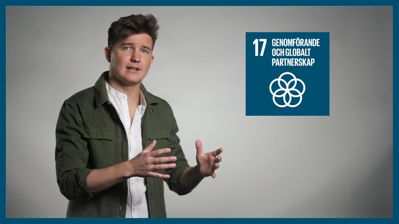Mål 17. Genomförande och globalt partnerskap – Tess film | 17 om 17