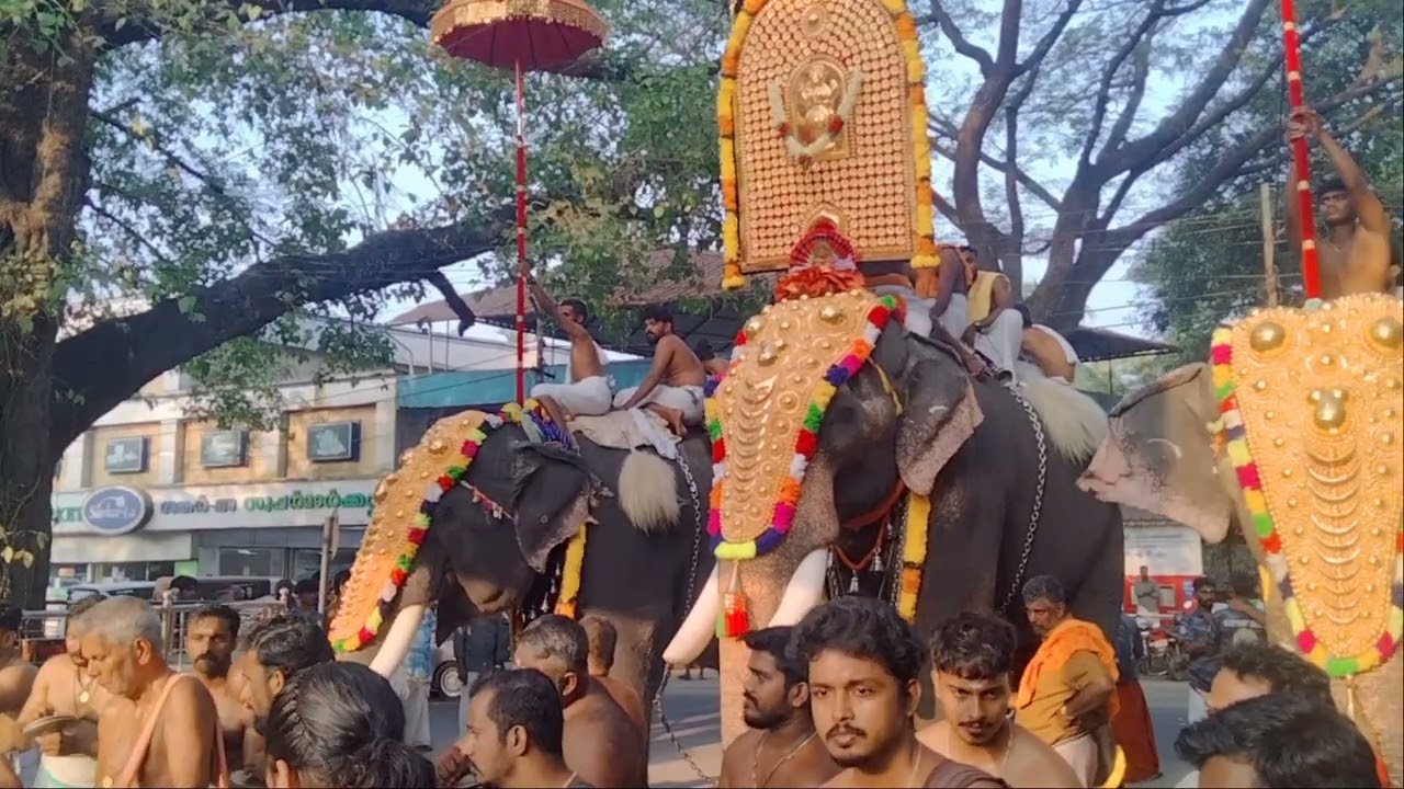  Vatanappally Bhagavathy ക്ഷേത്ര മഹോത്സവം 2025 (27/12/2025)