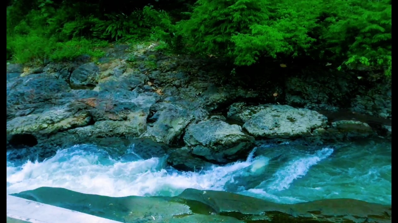 Beautiful Relaxing River  Nature Sounds Sleep Meditation Study Stress Relief Mindfulness