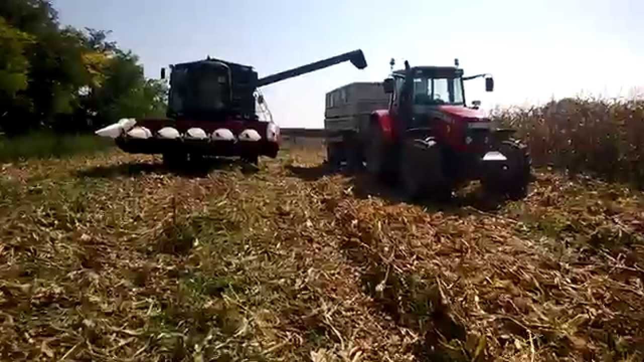 Kukorica aratás