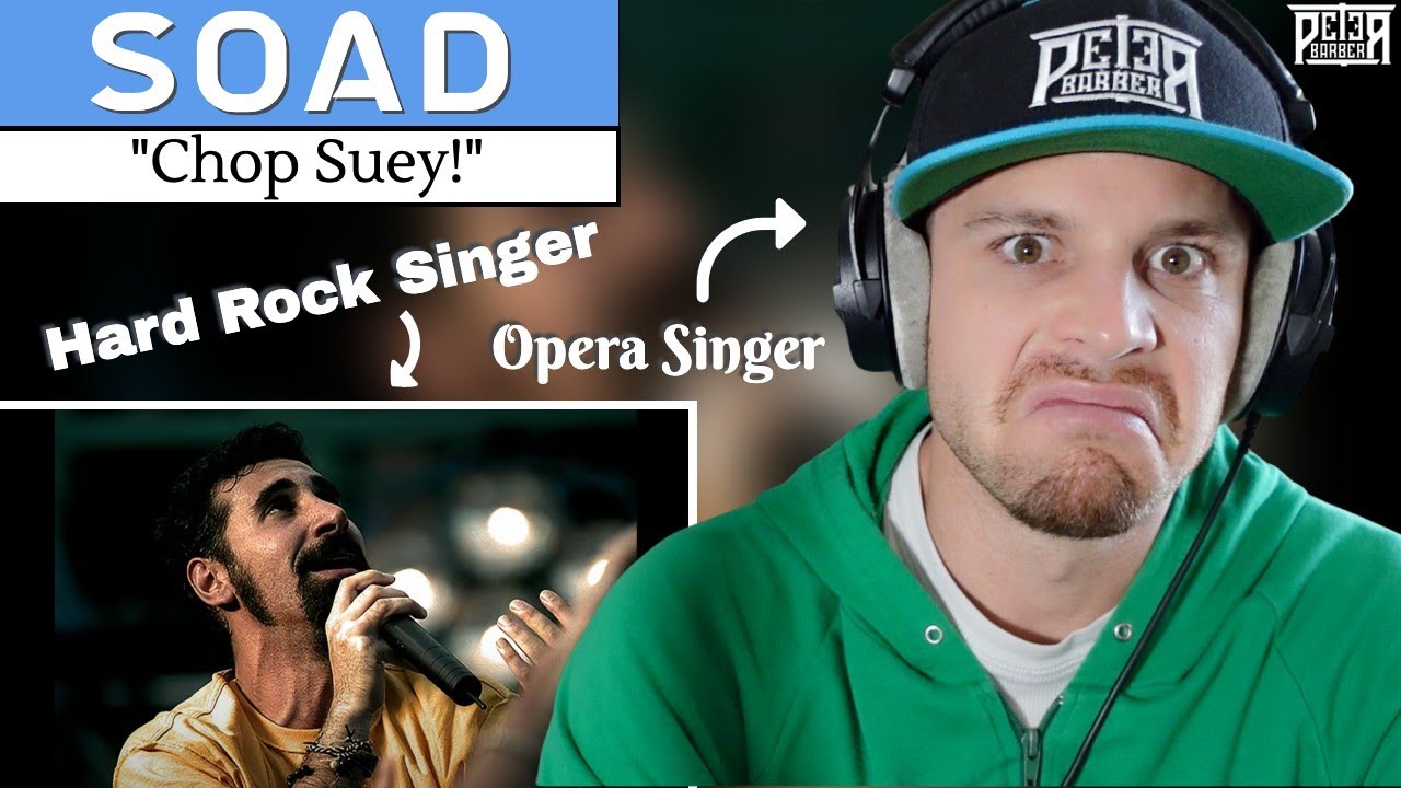 Professional Singer Vocal ANALYSIS of System Of A Down | 