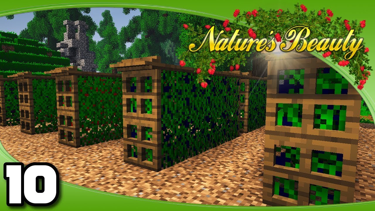 Nature's Beauty - Ep. 10: The Berry Farm