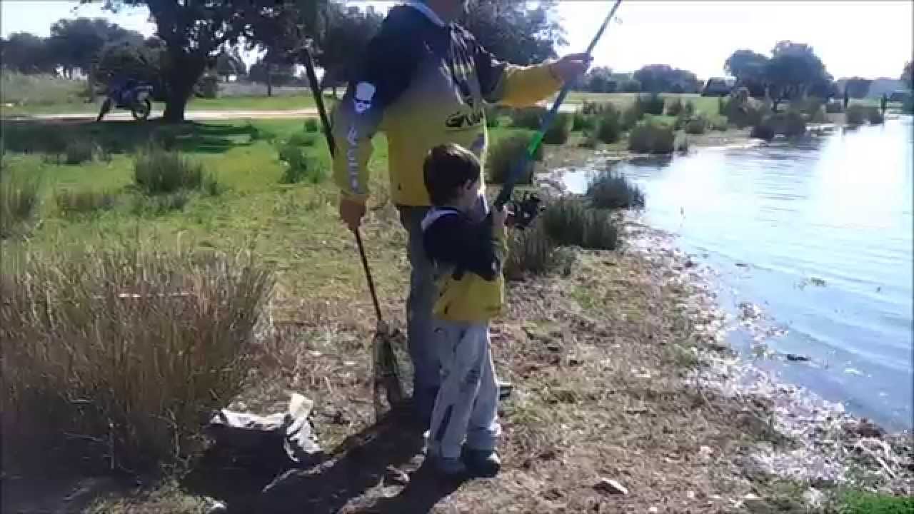 pesca de carpines y black bass en el embalse de azutan