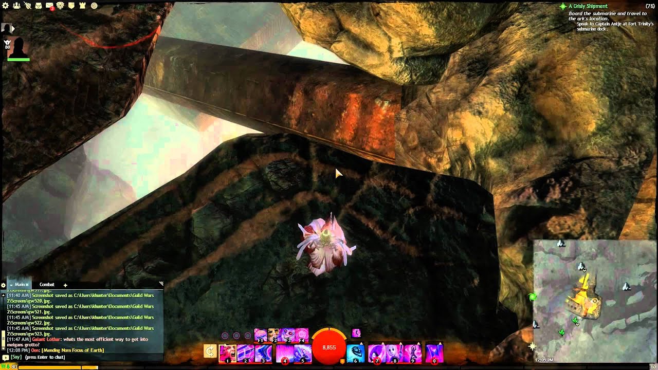 GW2 Only Zuhl Timberline Falls jumping puzzle guide