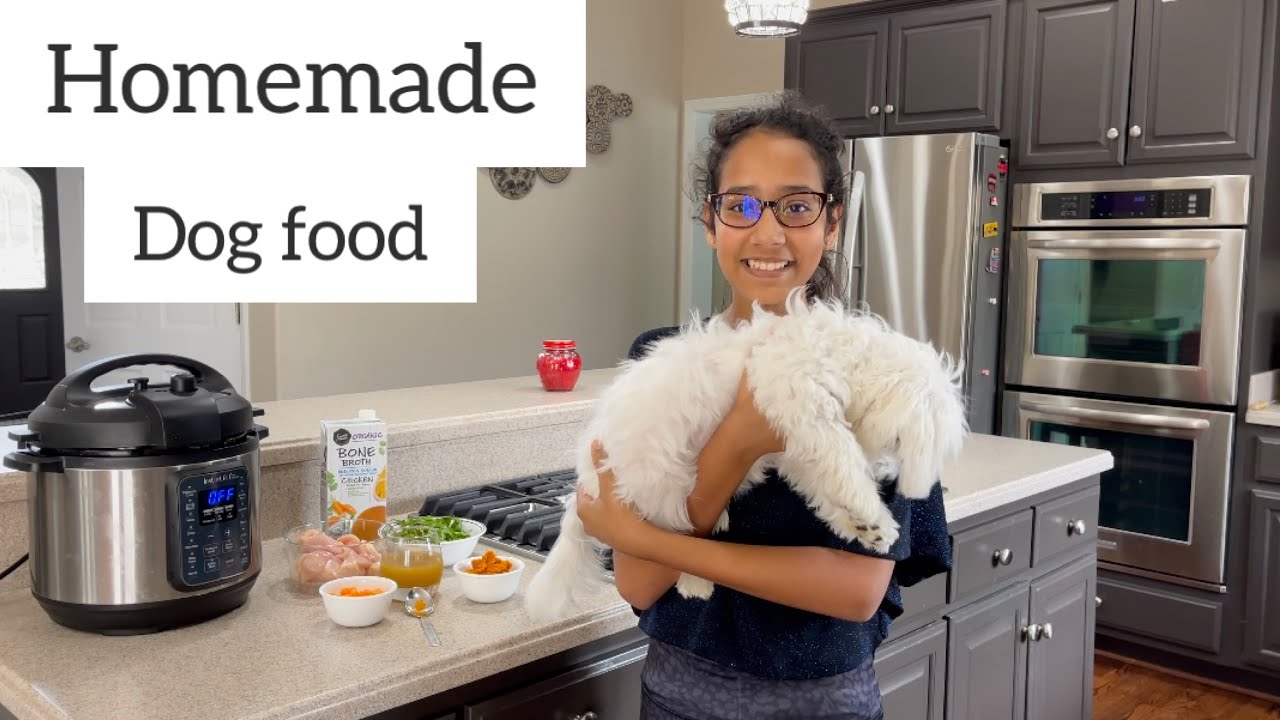 Homemade Healthy  Dog Food Recipe | Homemade Dog Food Cooking For Your Dog 🐶