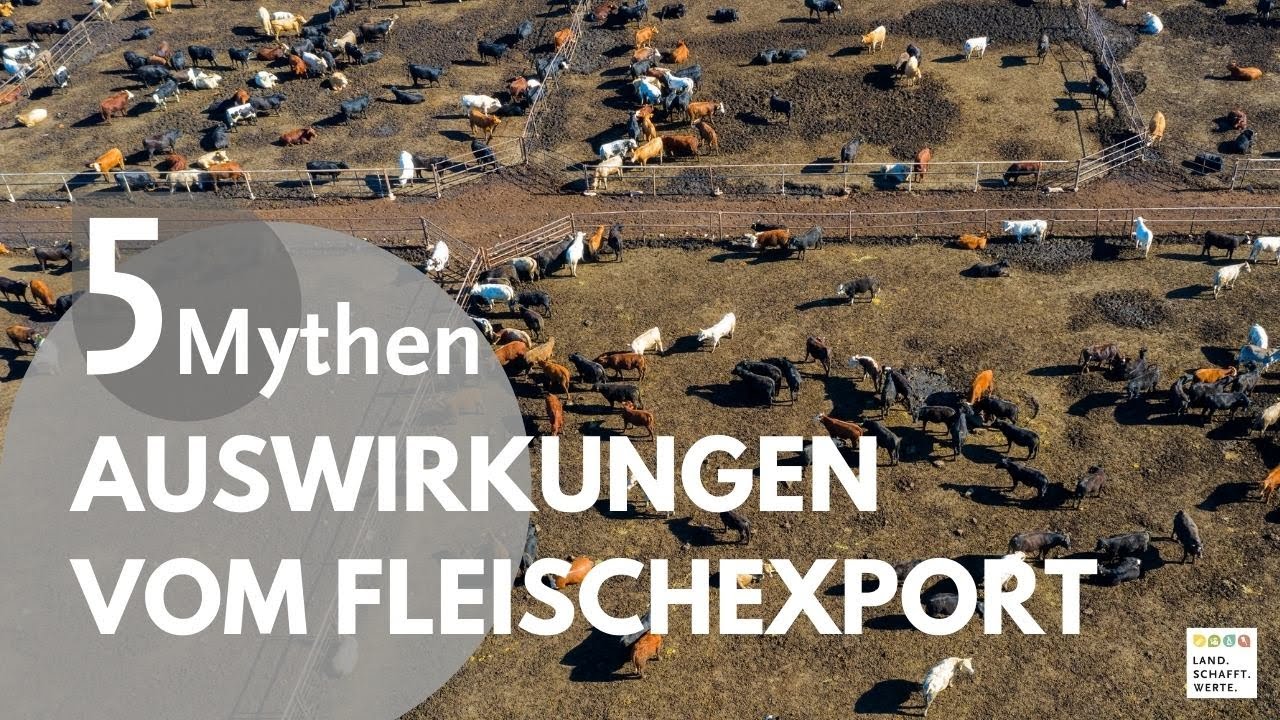 Mythen zum Fleischexport