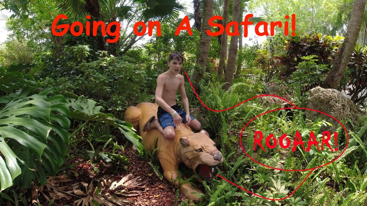 Lion Country Safari: An Epic Adventure with Chris & Nick!