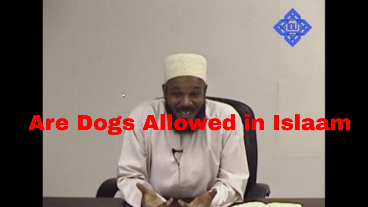 Can Muslim keep Dogs as pets in islam  - Bilal Phlips